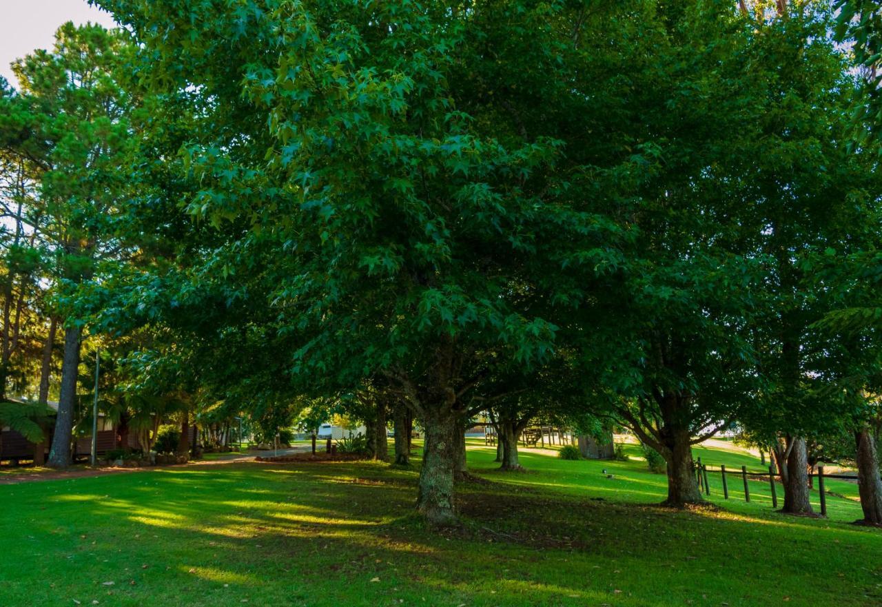 Dorrigo Mountain Holiday Park Dış mekan fotoğraf